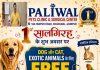 क्रेटा कार की टक्कर से बाइक सवार परिवार के चार लोगों की मौत, मुख्यमंत्री ने जताया शोक