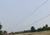 भूमिधरी की जमीन पर झूल रहा बिजली तार, किसान ने तहसील दरबार में लगाई गुहार