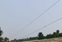 भूमिधरी की जमीन पर झूल रहा बिजली तार, किसान ने तहसील दरबार में लगाई गुहार