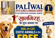 पालीवाल पेट्स क्लिनिक की प्रथम वर्षगांठ पर नि:शुल्क स्वास्थ्य जांच शिविर 15 जून को