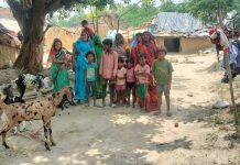 55 साल बाद भी पट्टे की जमीन पर नहीं मिला कब्जा, आवास स्वीकृत फिर भी बेघर हैं मुसहर परिवार