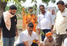 हरियाली बढ़ाने को चला महाअभियान, सोंधी ब्लॉक में लगे हजारों पौधे