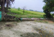 बारिश और तेज हवा से प्राथमिक विद्यालय की बाउंड्री गिरी, बड़ा हादसा टला