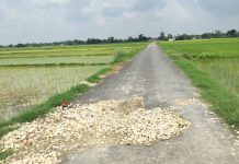 तीन माह में उखड़ने लगी पीडब्ल्यूडी सड़क, ग्रामीणों ने घटिया निर्माण का लगाया आरोप