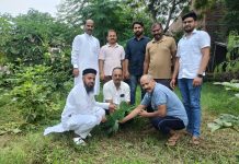 नगर उद्योग व्यापार मंडल ने चलाया पौधरोपण अभियान, पर्यावरण संरक्षण का लिया संकल्प
